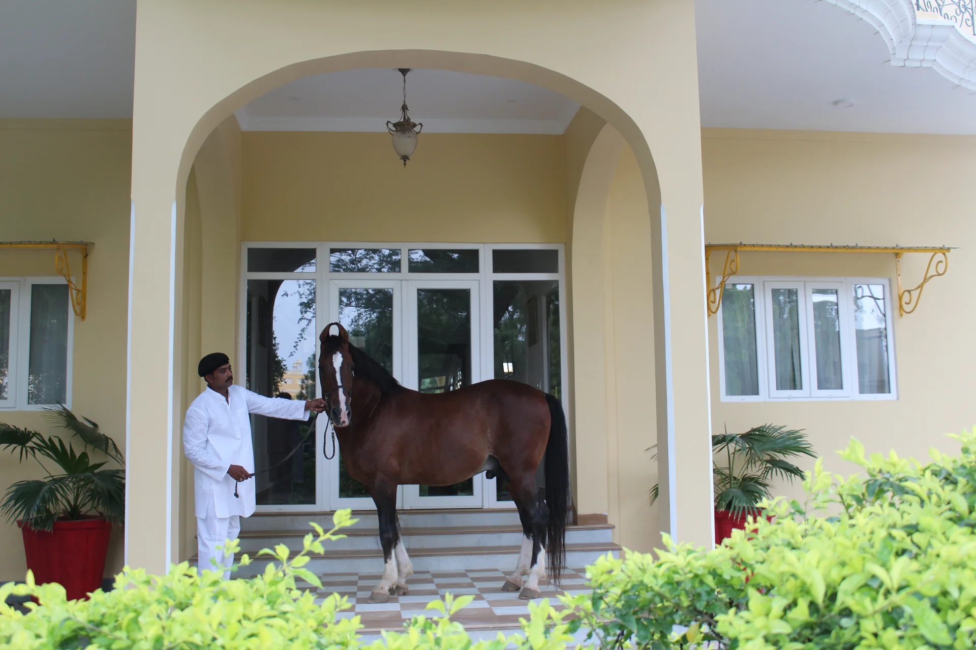 Horse Riding