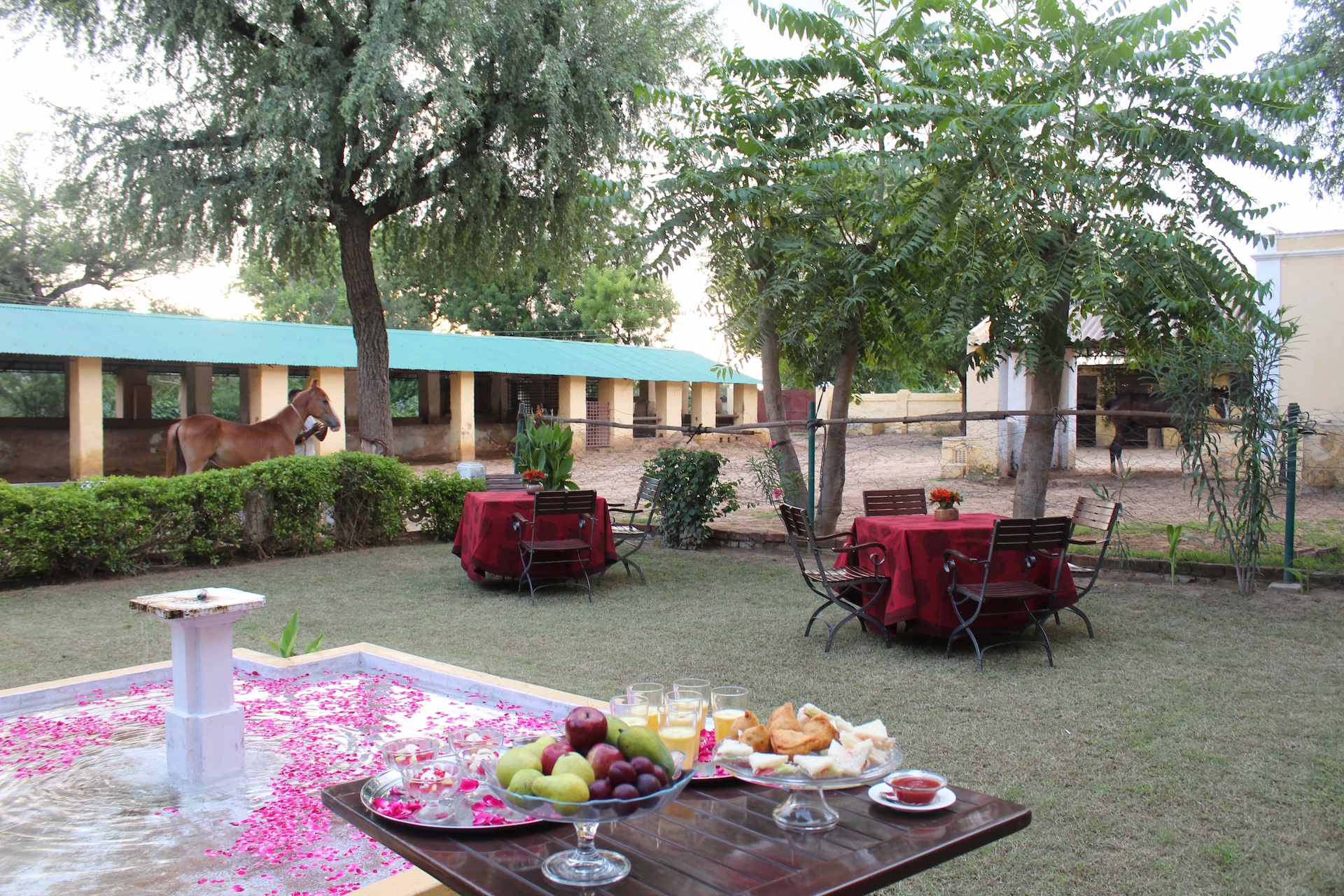 High Tea at the Stables